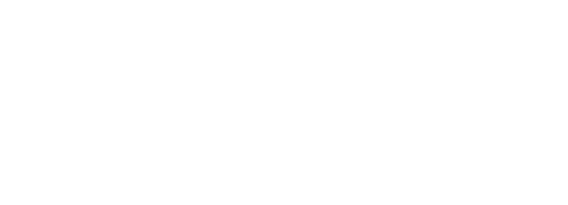 BI MATRIX